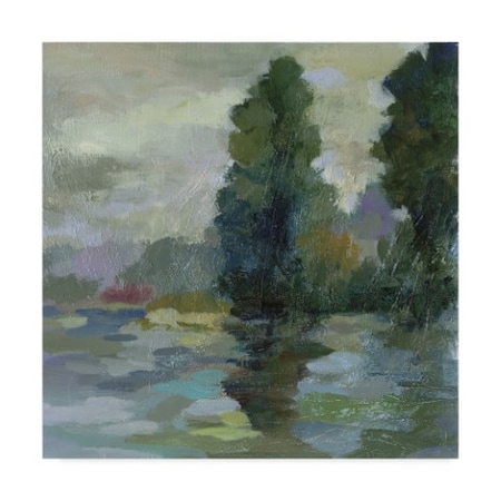 Trademark Fine Art Sunrise at The Lake II by Silvia Vassileva, 18x18-Inch Fine Art, Multicolor